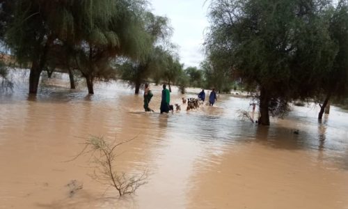 Fortes pluies: Podor déclaré “zone rouge” par les autorités.