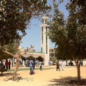 ag mosque baobab