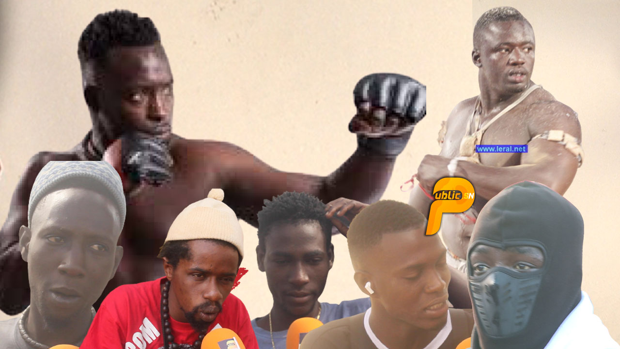 Papa Sow vs Siteu : L’avis des amateurs (Public TV)