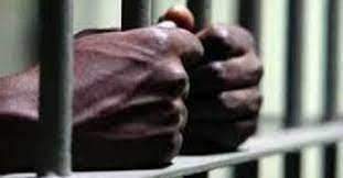 Mbacké : Il assène des coups de gourdin à sa belle-sœur et fini en prison
