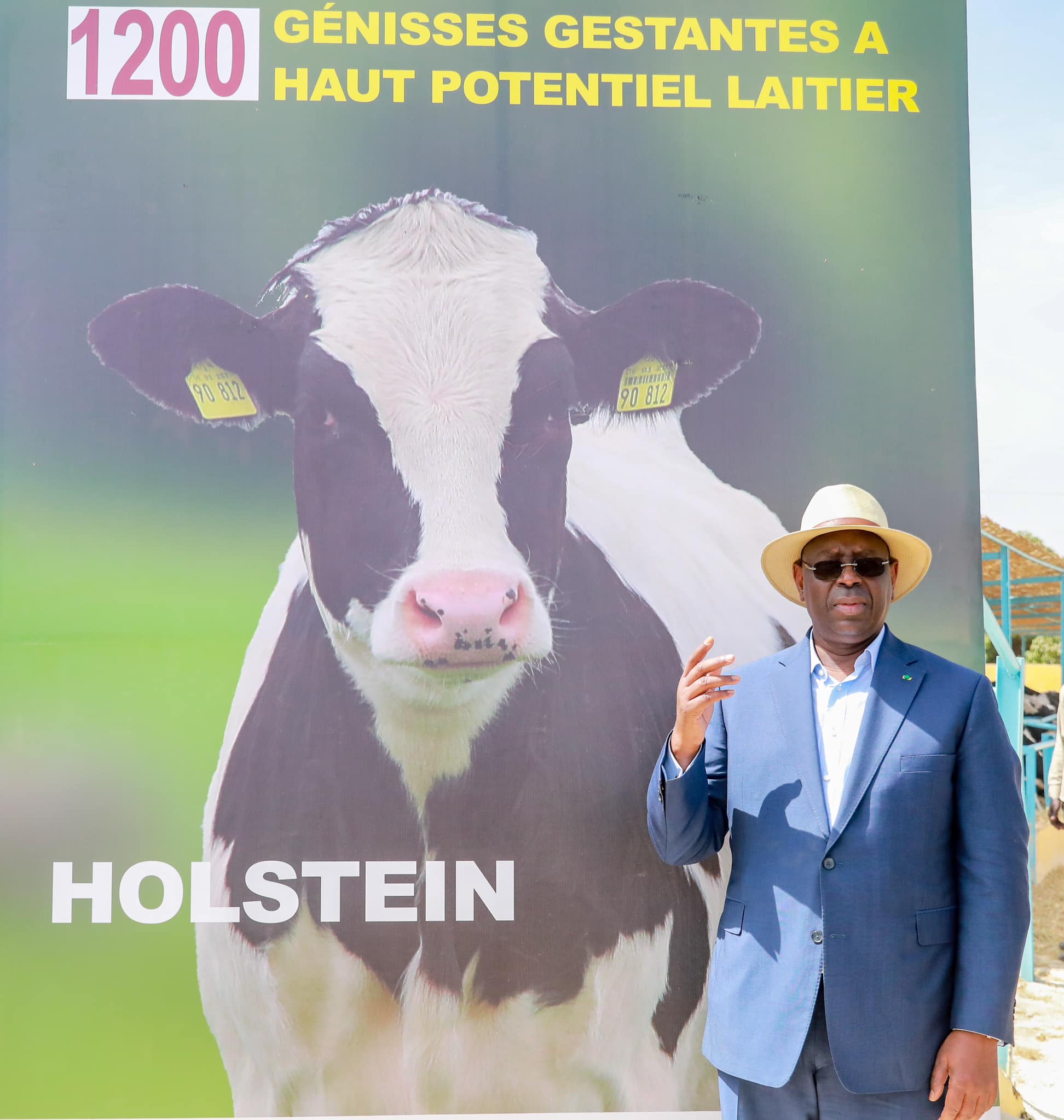 Après la remise de matériels agricoles, Macky Sall à Niague dans une ferme pour la réception de 1200 génisses