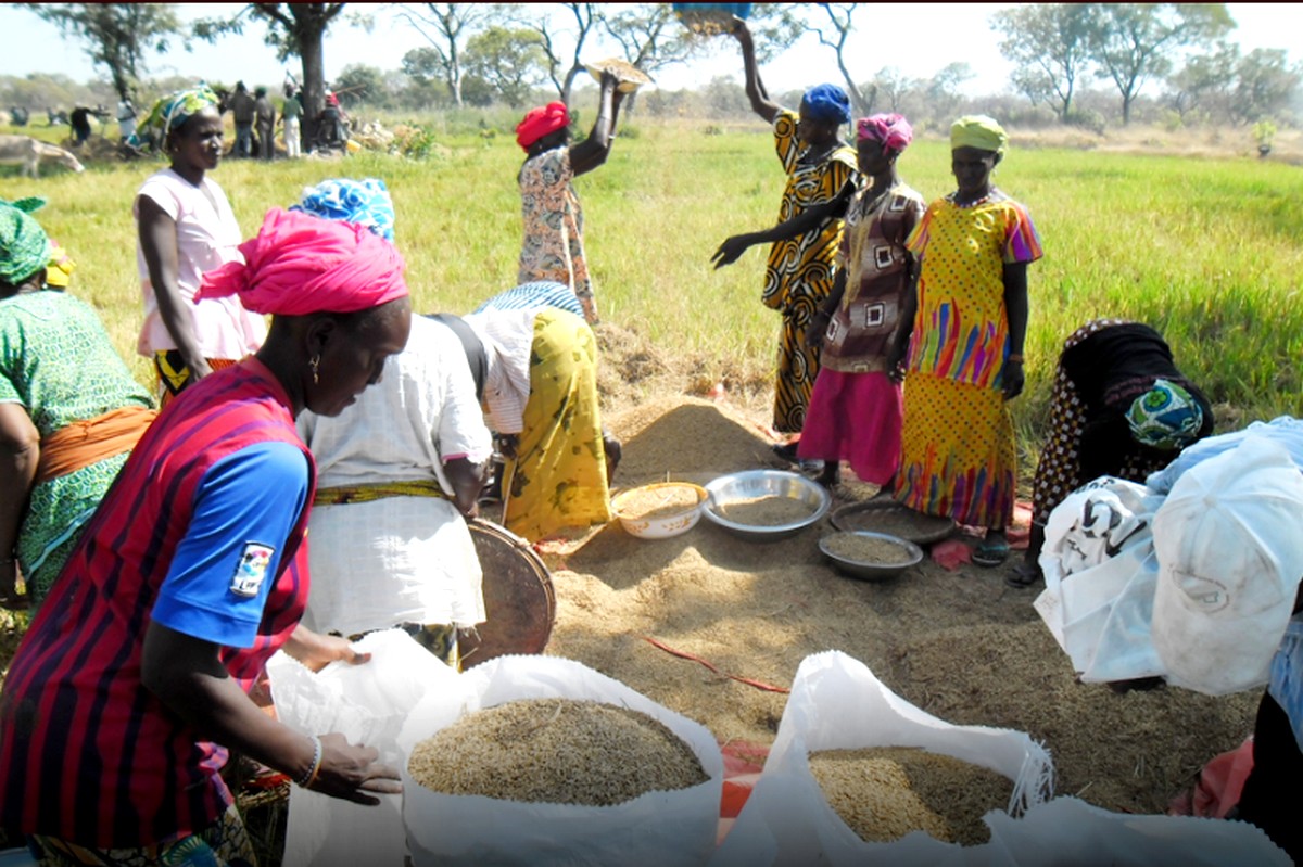 PLAIDOYER DES FEMMES RURALES A DISPOSER DE LA BONNE TERRE :   Ndiouck Mbaye Lindor appelle le chef de l’Etat, Macky Sall, à organiser les assises de l’agriculture et du foncier