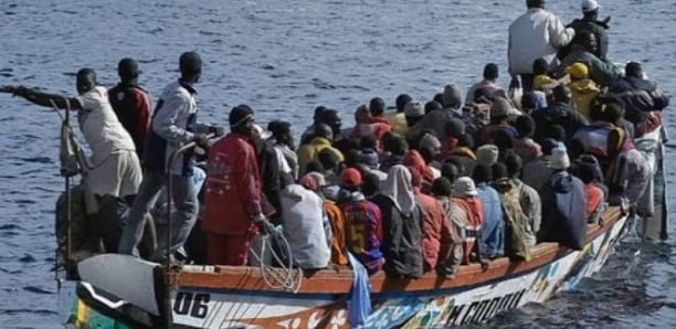 Trafic international de migrants : Un des cerveaux de la ruée vers les Canaries tombe