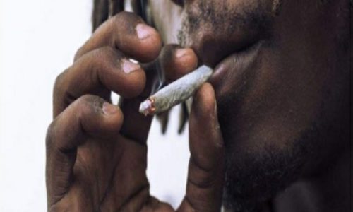 Joal: un fumeur de chanvre indien tabasse sa mère qui lui réclame la restitution de son poste téléviseur